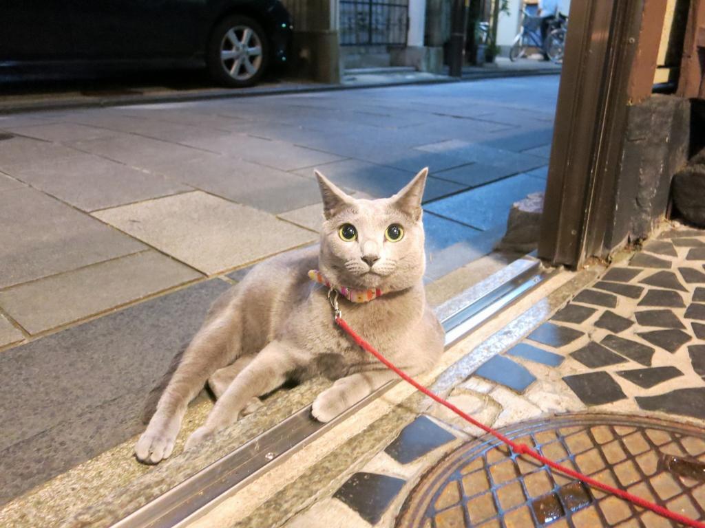 Fujiya Ryokan Kioto Exterior foto